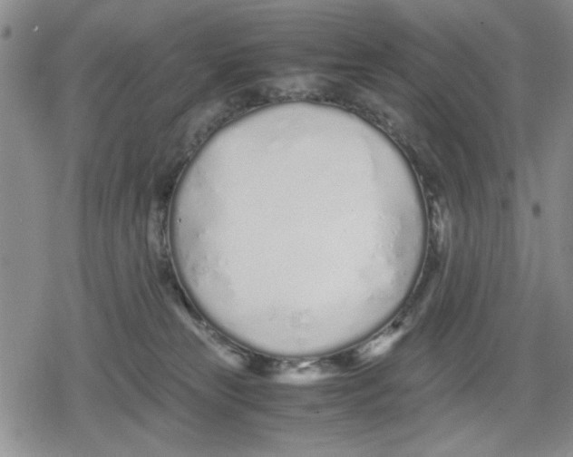 X0000079300181200612151736