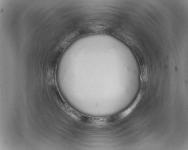 X0000079300182200612151736