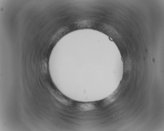 X0000079300183200612151736