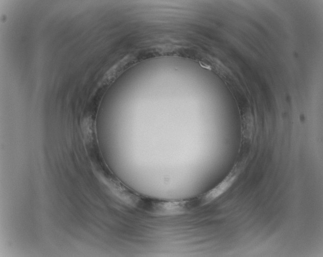 X0000079300184200612151736