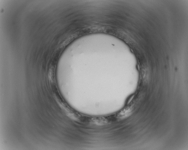 X0000079300185200612151736