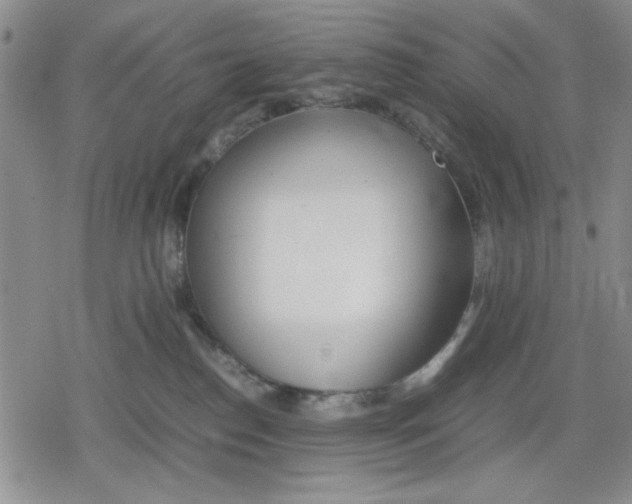 X0000079300186200612151736