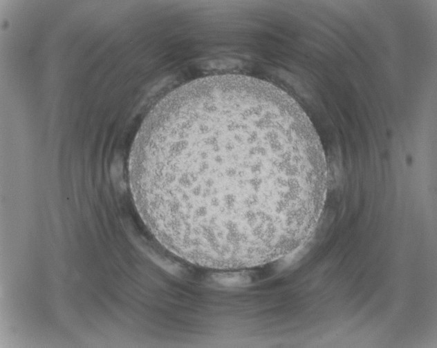 X0000079300187200612151736