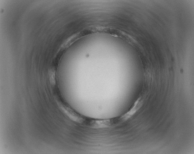 X0000079300188200612151736