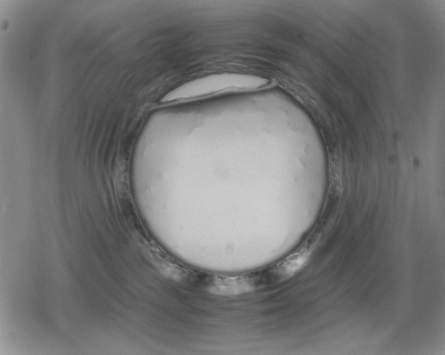 X0000079300189200612151736