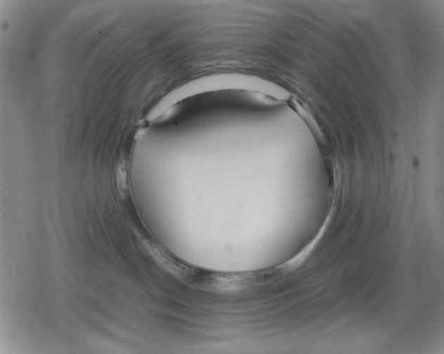 X0000079300190200612151736