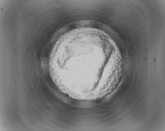 X0000079300191200612151736