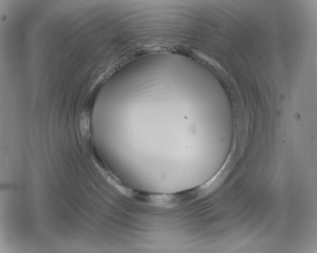 X0000079300192200612151736