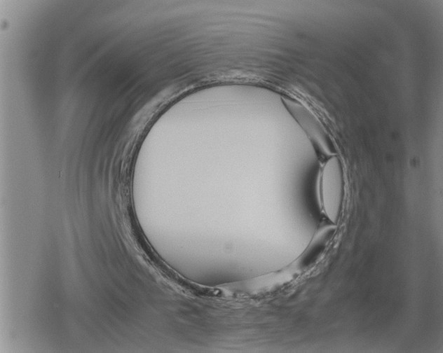 X0000079300193200612151736