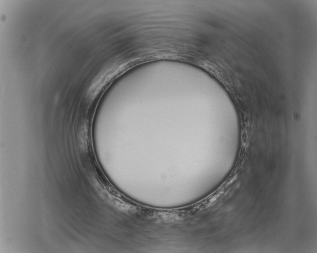 X0000079300194200612151736