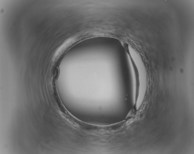 X0000079300197200612151735