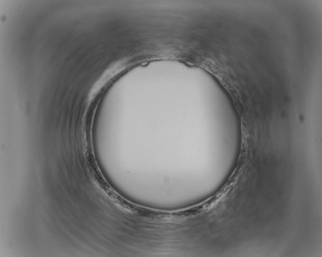 X0000079300198200612151735