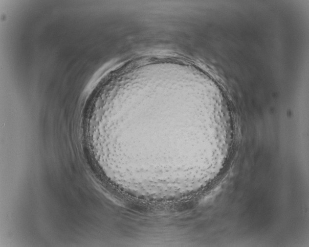 X0000079300199200612151735