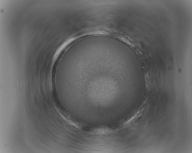 X0000079300200200612151735