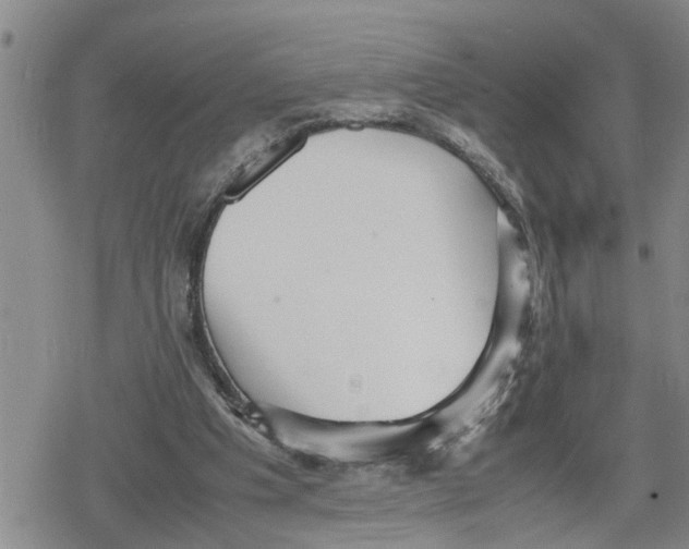 X0000079300201200612151735