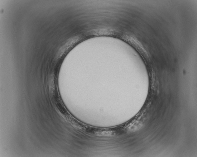 X0000079300202200612151735