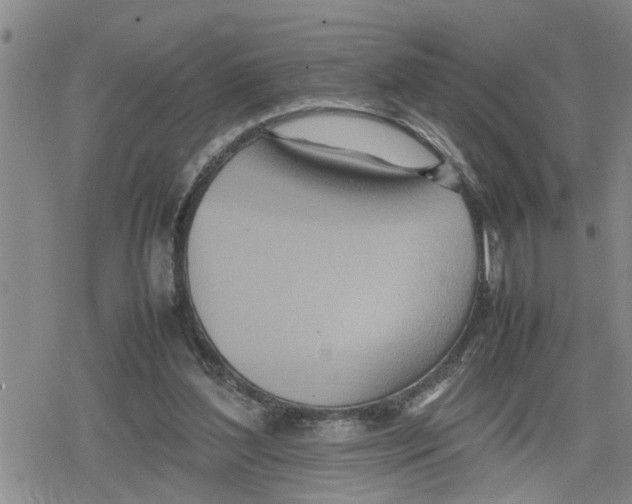 X0000079300204200612151735