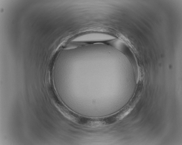 X0000079300205200612151735