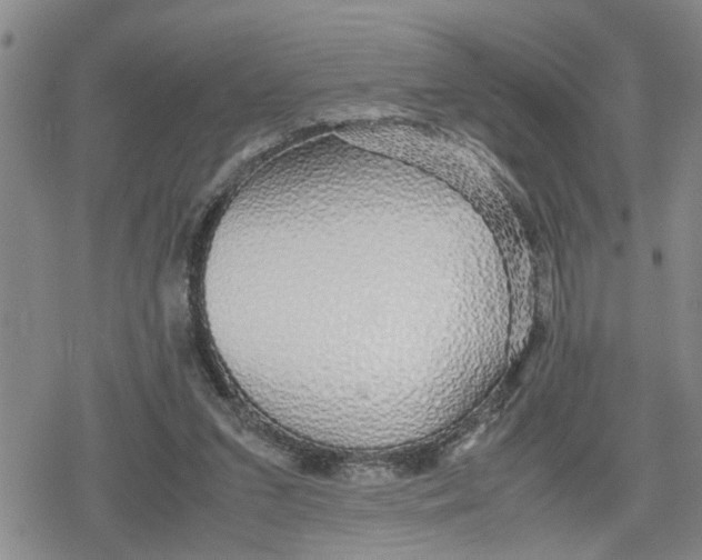 X0000079300207200612151735