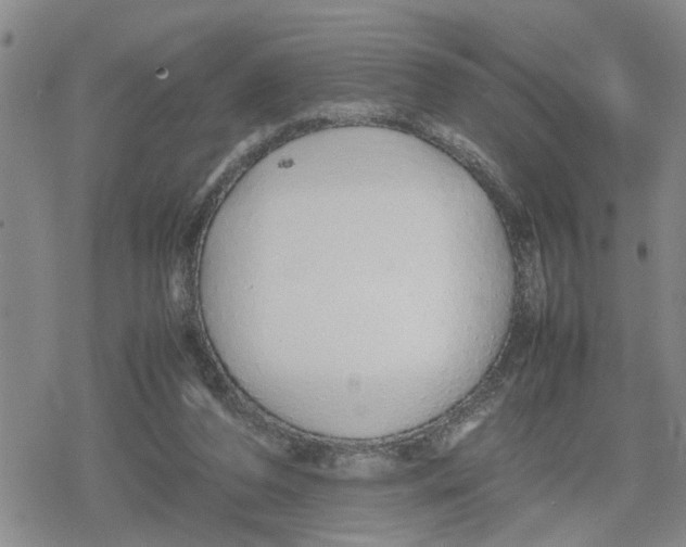 X0000079300208200612151735