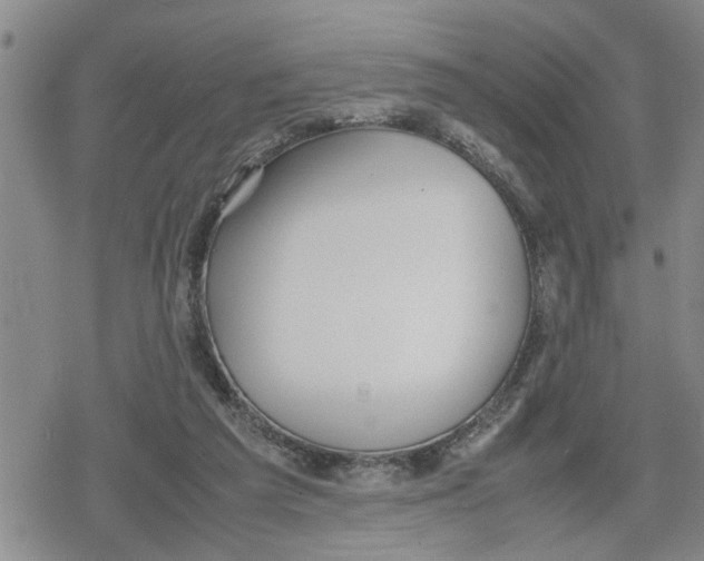 X0000079300209200612151735