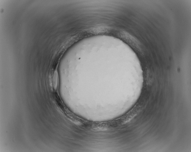 X0000079300210200612151735