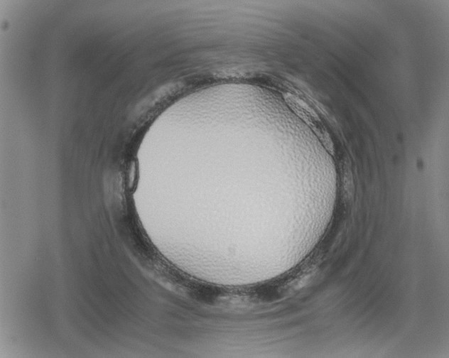 X0000079300211200612151735