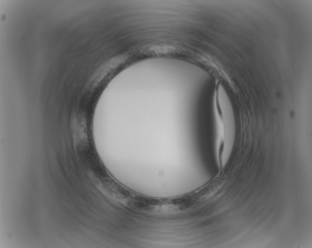 X0000079300212200612151735