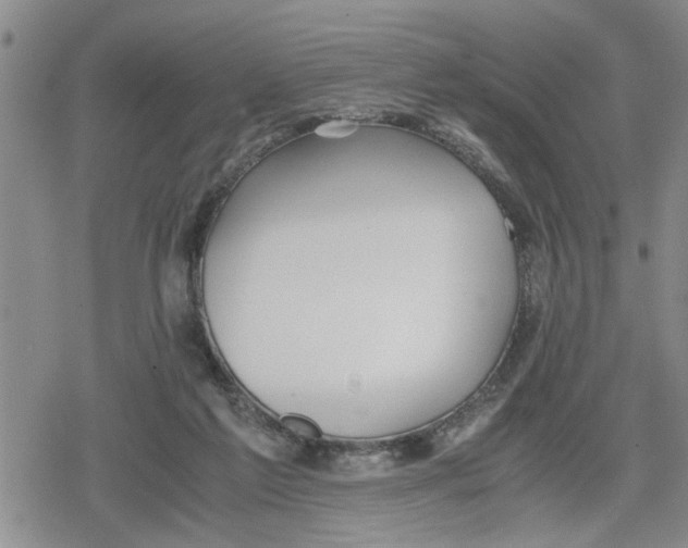 X0000079300213200612151735