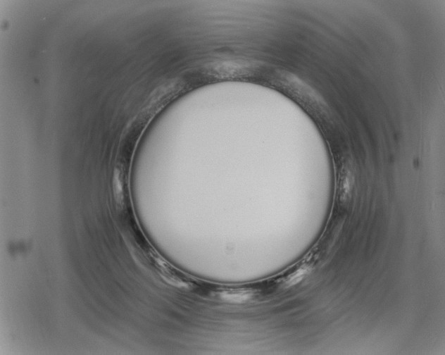 X0000079300214200612151735