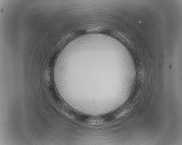 X0000079300215200612151735