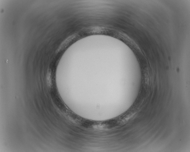 X0000079300216200612151735