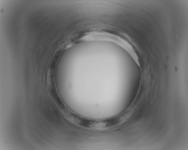 X0000079300217200612151735