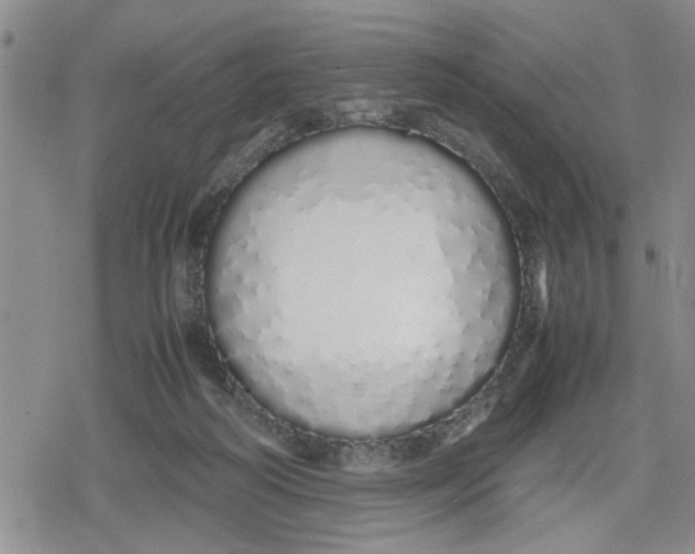 X0000079300218200612151735