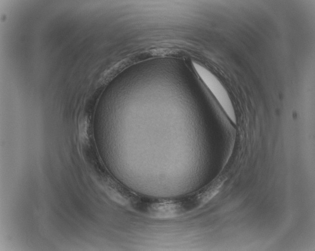 X0000079300219200612151735