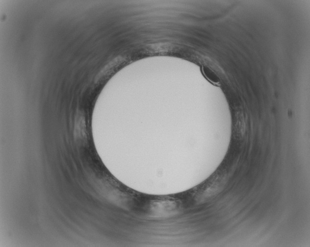 X0000079300220200612151735