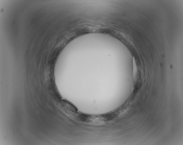 X0000079300221200612151735