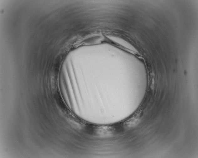 X0000079300222200612151735