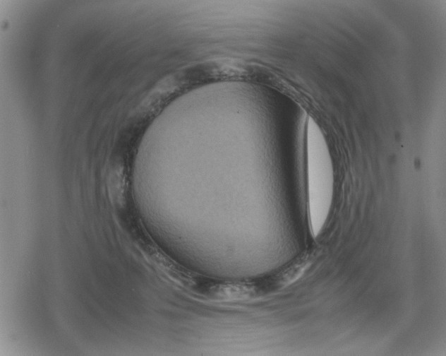 X0000079300223200612151735