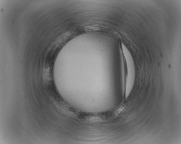 X0000079300224200612151735