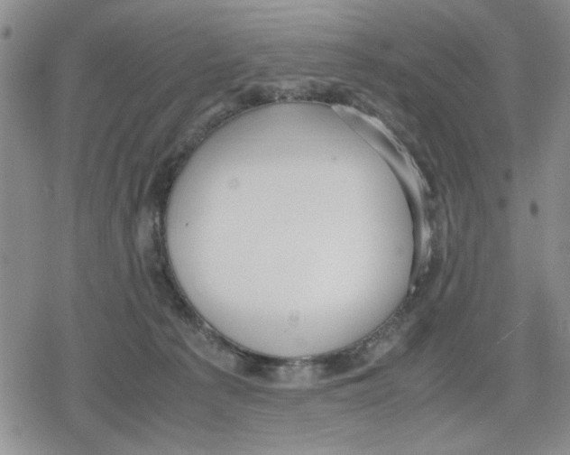 X0000079300225200612151735