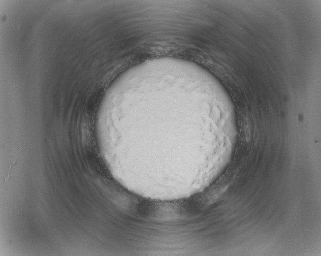 X0000079300226200612151735