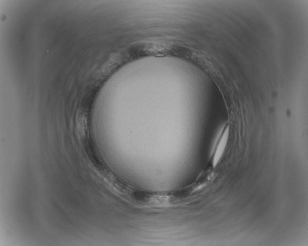 X0000079300227200612151735