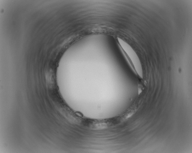 X0000079300228200612151735