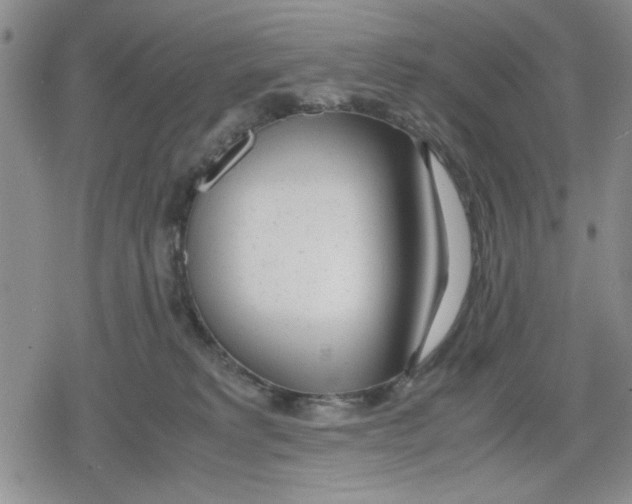 X0000079300229200612151735