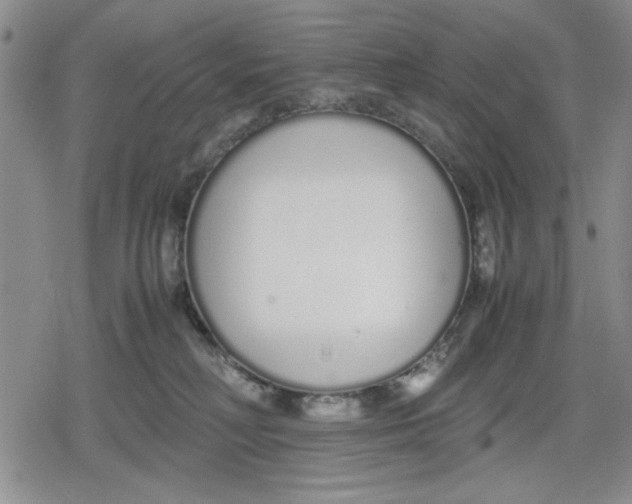 X0000079300230200612151735