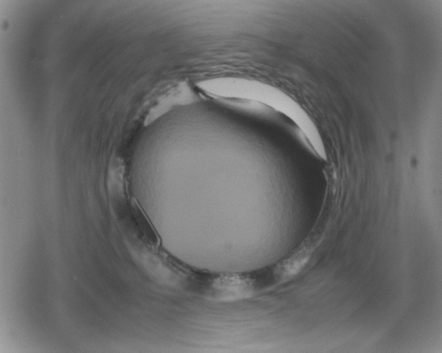 X0000079300231200612151735