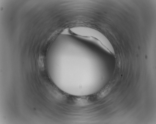 X0000079300232200612151735