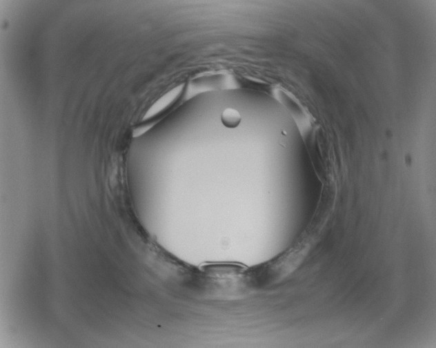 X0000079300233200612151735