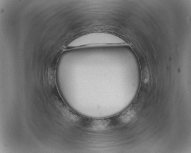 X0000079300234200612151735